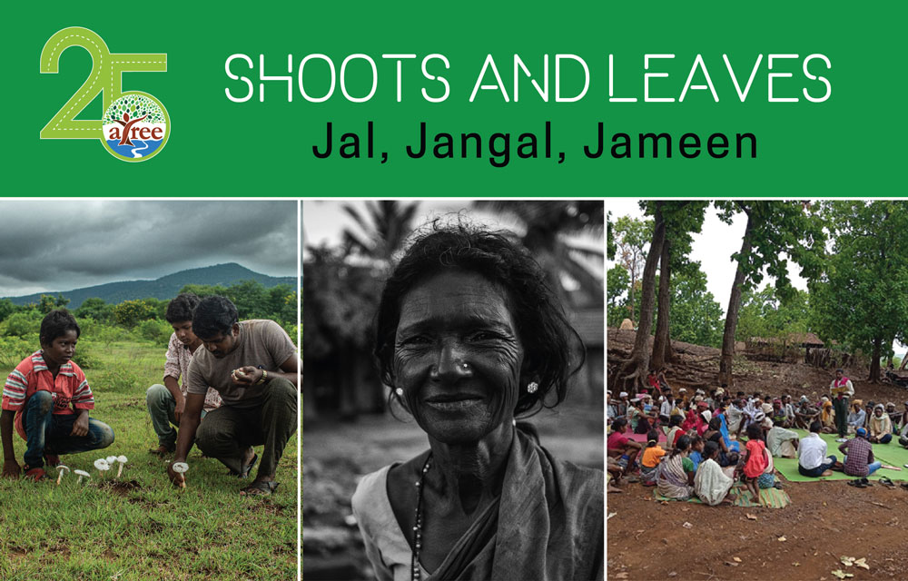 Shoots and Leaves