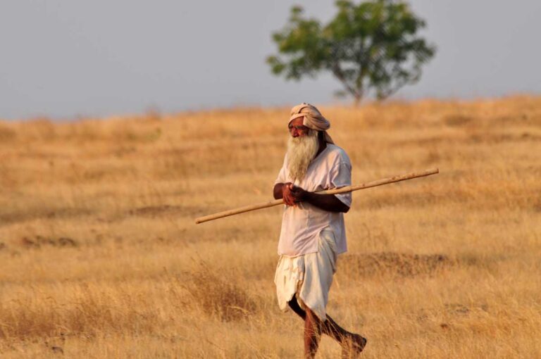 Creating-a-knowledge-base-for-conservation-and-restoration-of-semi-arid-grasslands-in-India-for-Peo