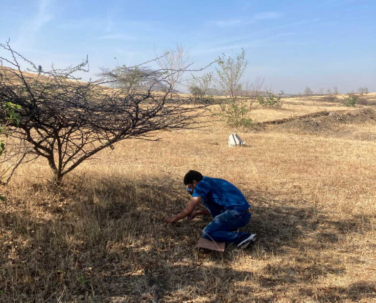 Estimating-soil-carbon-stocks-in-semi-arid-grasslands-in-India