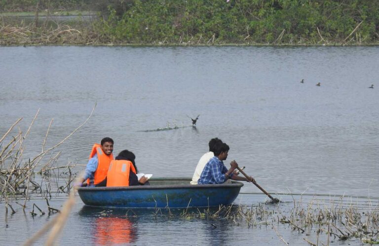 Monitoring-and-Evaluation-of-Restoration-Projects-Karnataka-Tree-Plantations-at-Bagepalli-Chikkab