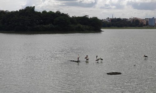 Doddanekundi Lake_05